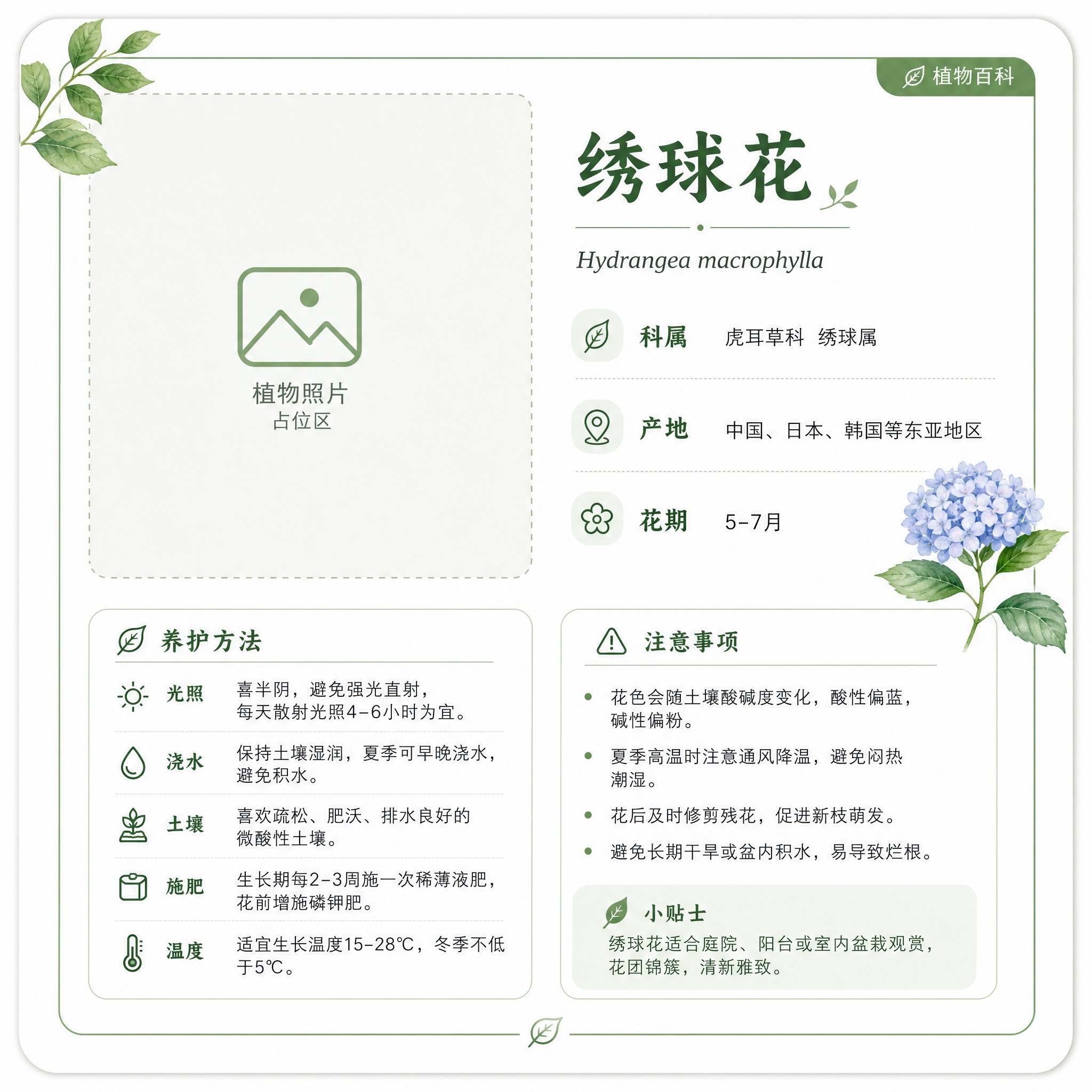 #34 植物识别